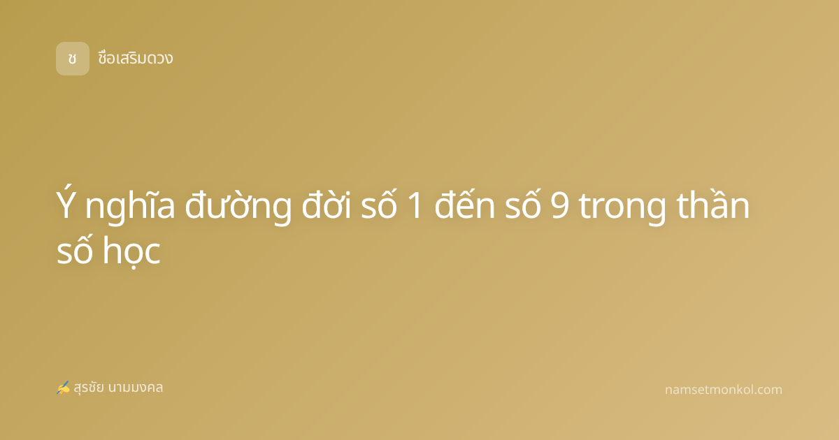 Ý nghĩa đường đời số 1 đến số 9 trong thần số học
